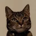 Misanthropic1's avatar