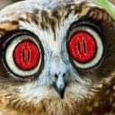 onram1's avatar