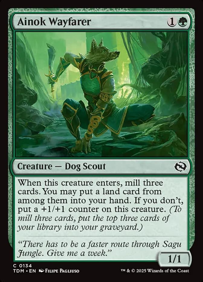 Card image of Ainok Wayfarer