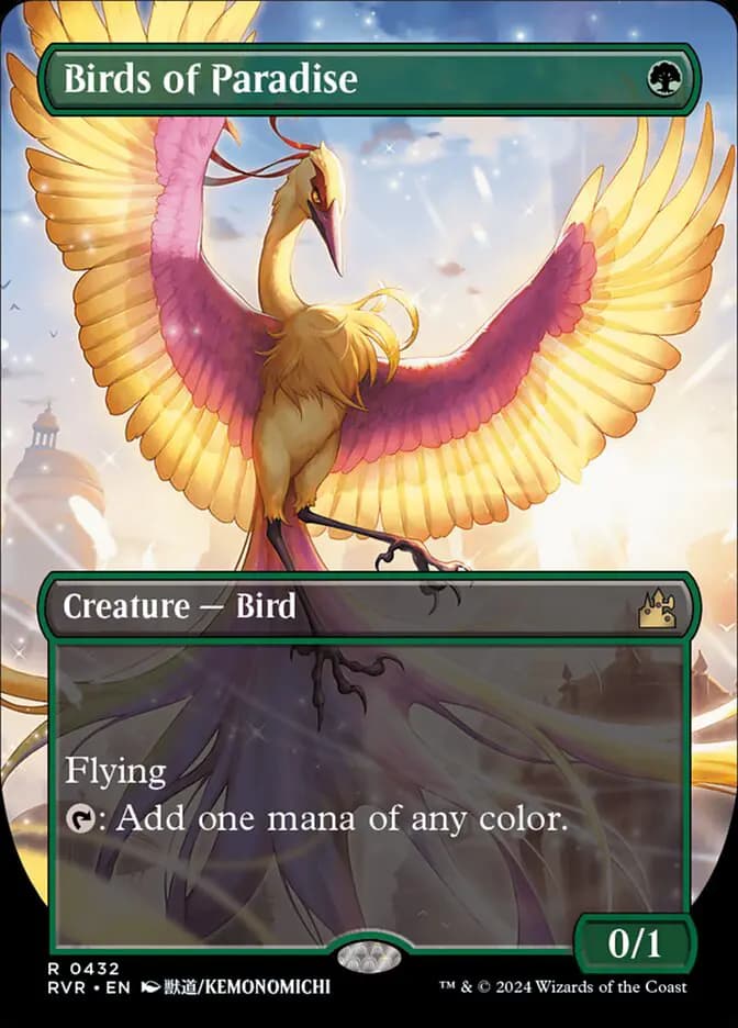 Card image of Birds of Paradise