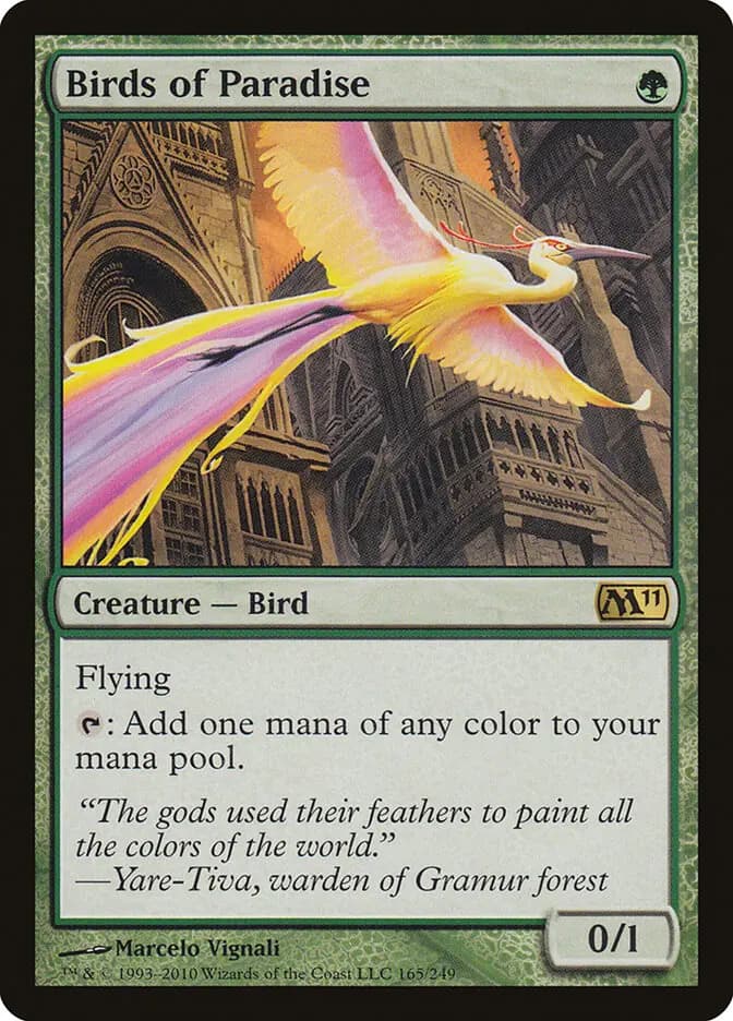Card image of Birds of Paradise