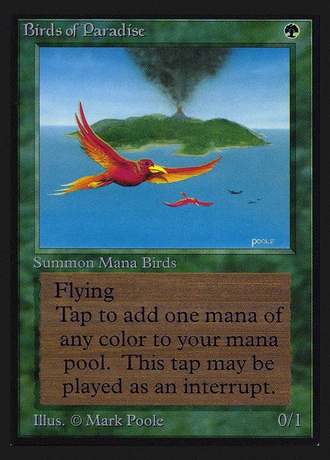 Card image of Birds of Paradise