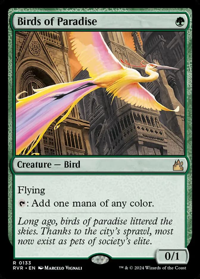 Card image of Birds of Paradise