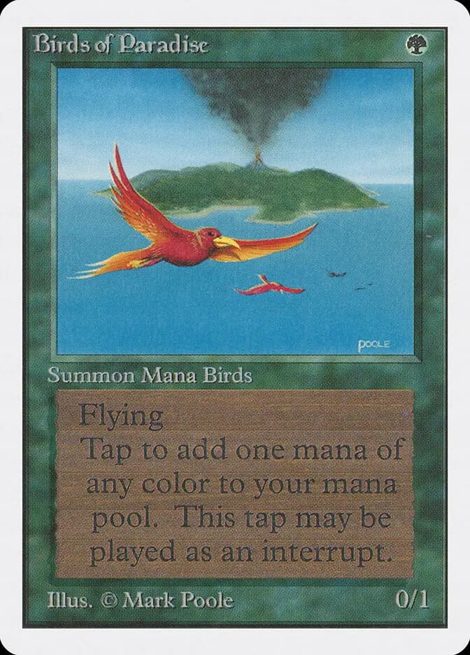 Card image of Birds of Paradise