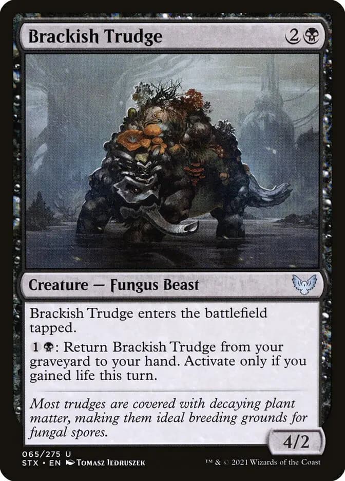 Card image of Brackish Trudge