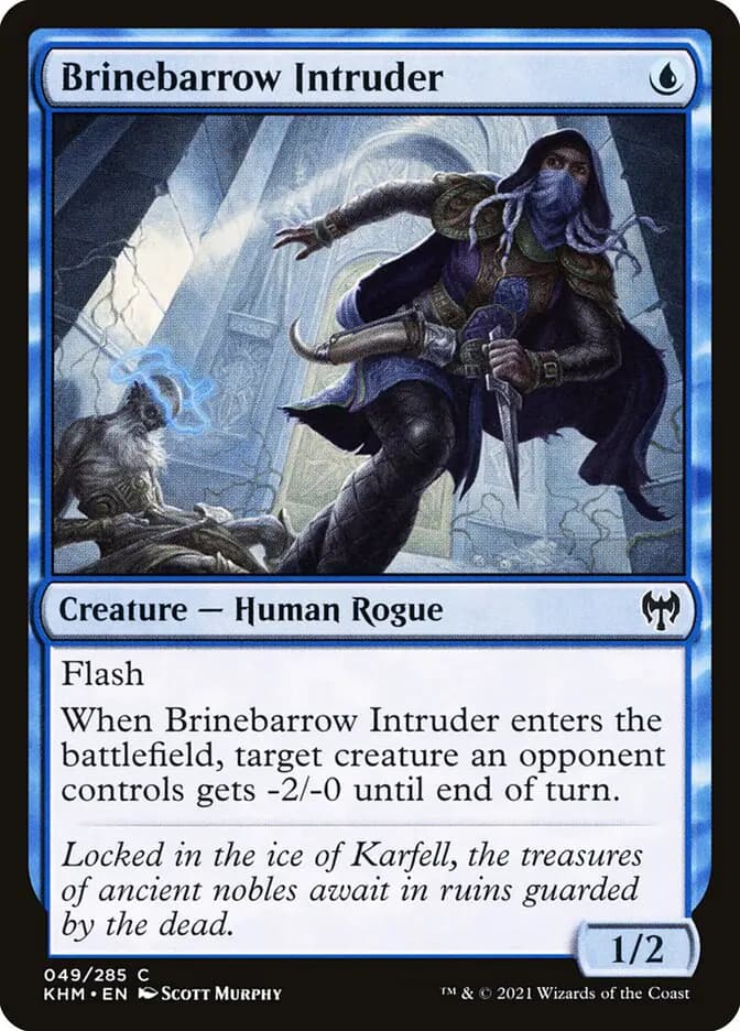 Card image of Brinebarrow Intruder