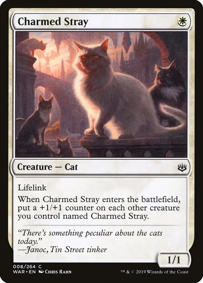 Card image of Charmed Stray