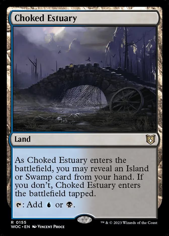 Card image of Choked Estuary