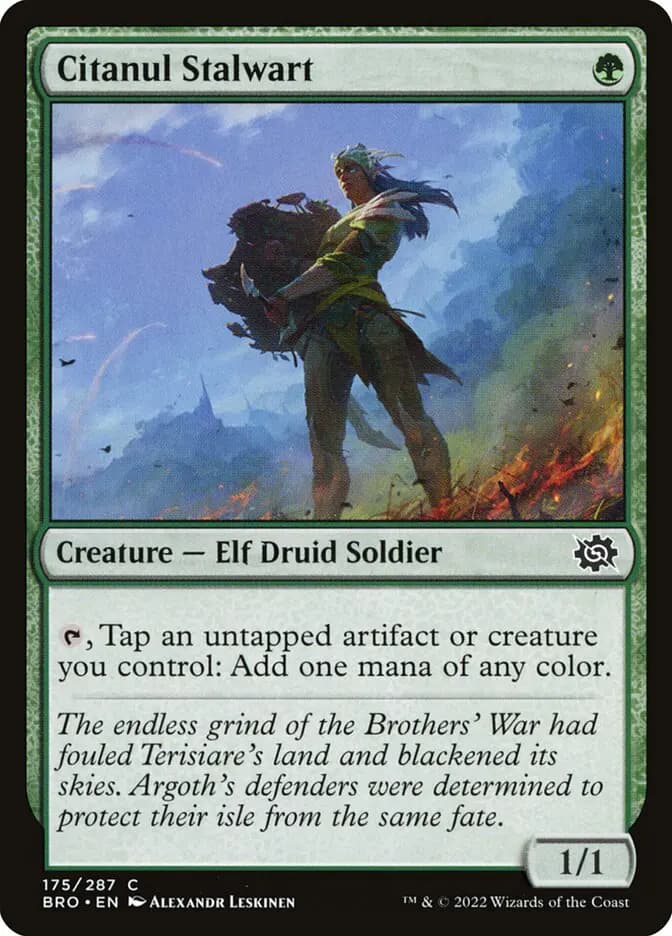 Card image of Citanul Stalwart