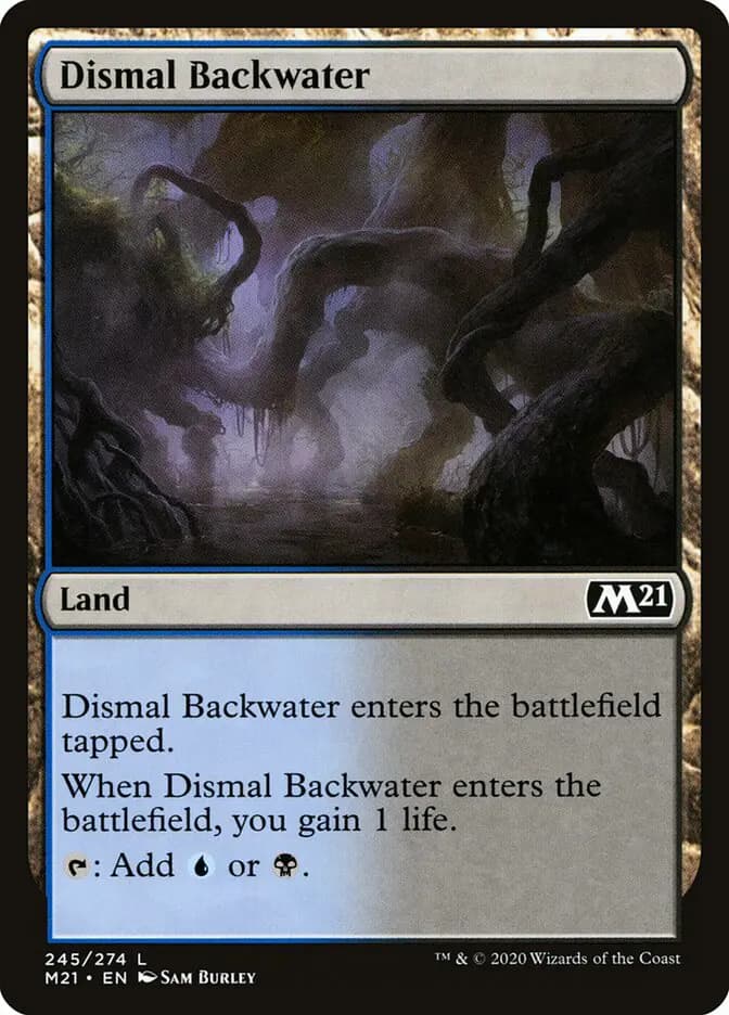 Card image of Dismal Backwater