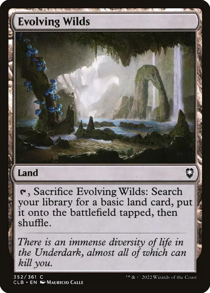 Card image of Evolving Wilds