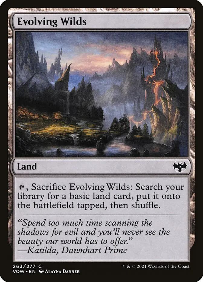 Card image of Evolving Wilds