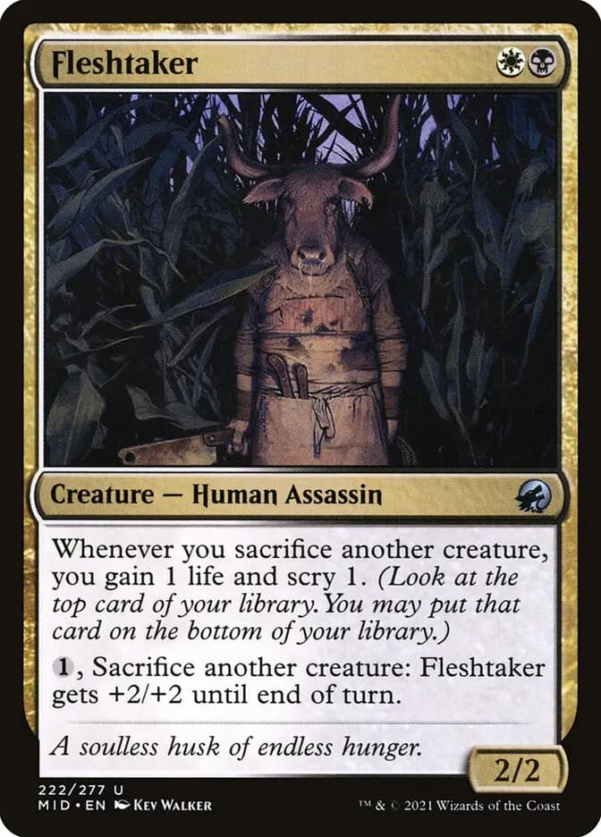 Card image of Fleshtaker