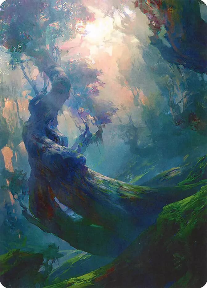 Card image of Forest / Forest