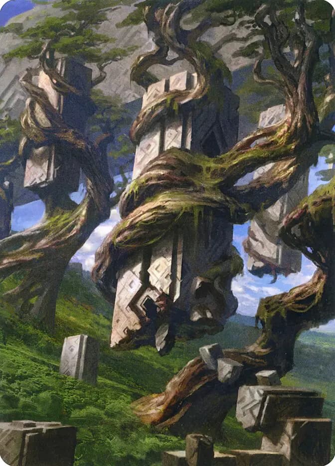 Card image of Forest / Forest