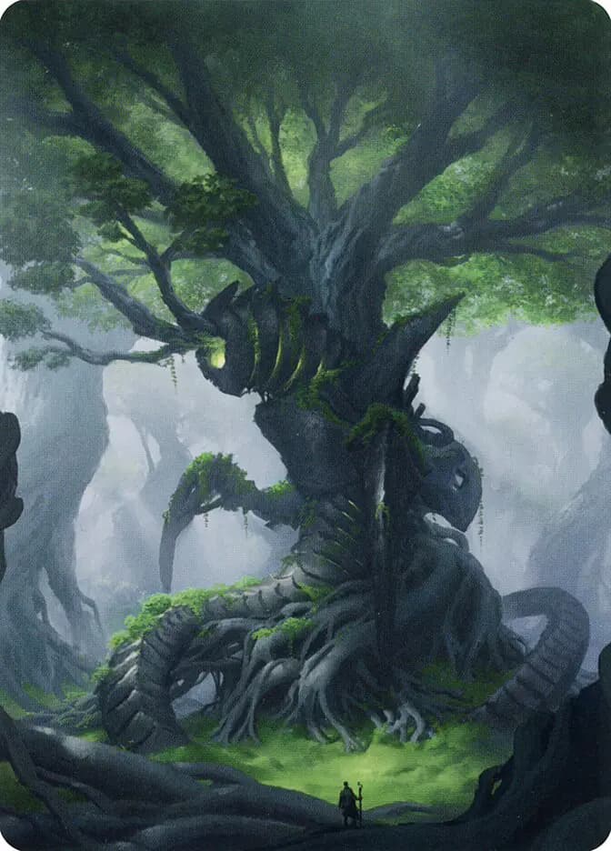 Card image of Forest / Forest