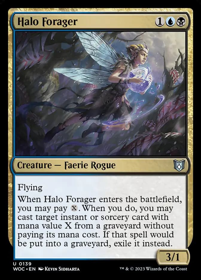 Card image of Halo Forager