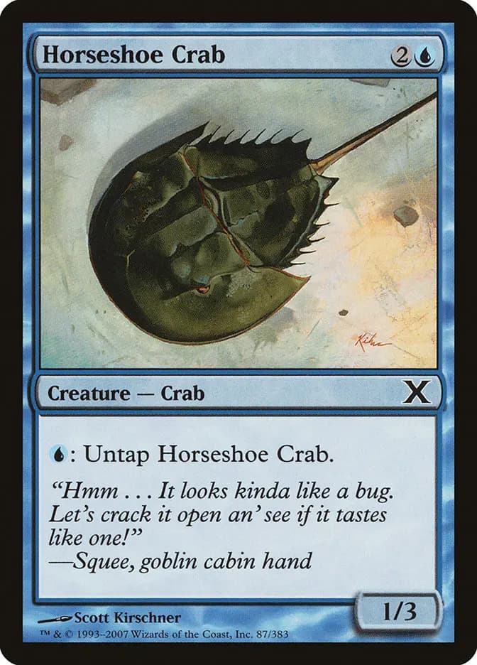 Card image of Horseshoe Crab