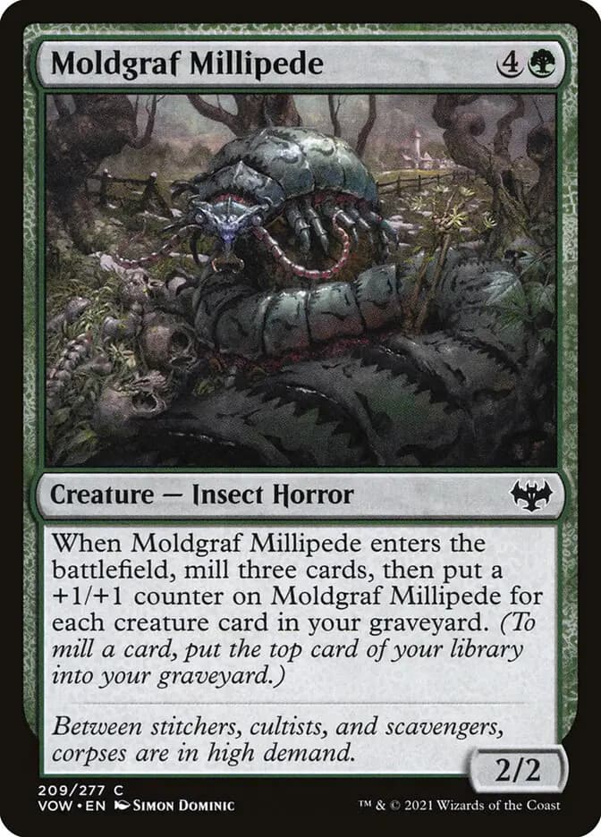 Card image of Moldgraf Millipede