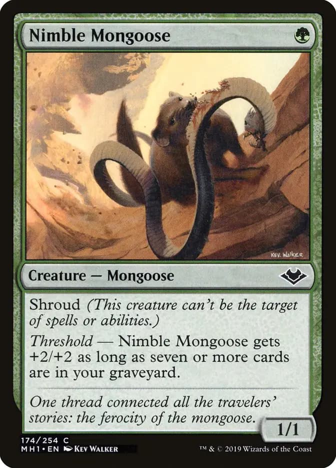 Card image of Nimble Mongoose