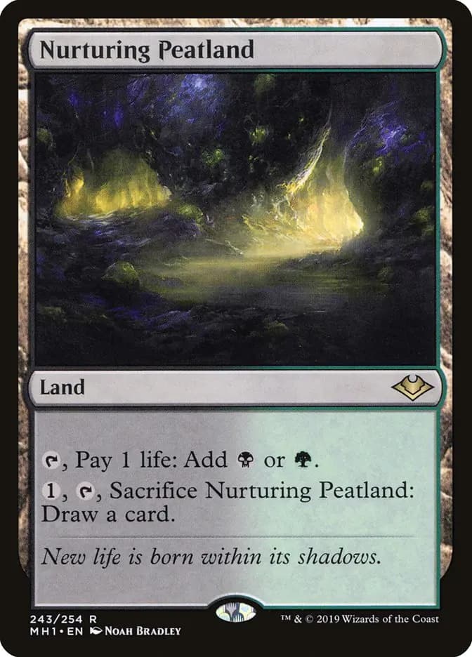 Card image of Nurturing Peatland