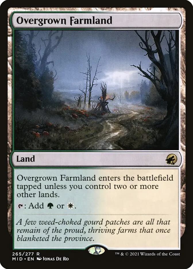 Card image of Overgrown Farmland