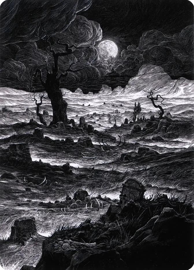 Card image of Plains / Plains