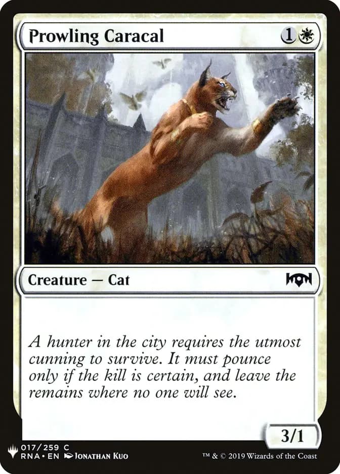 Card image of Prowling Caracal