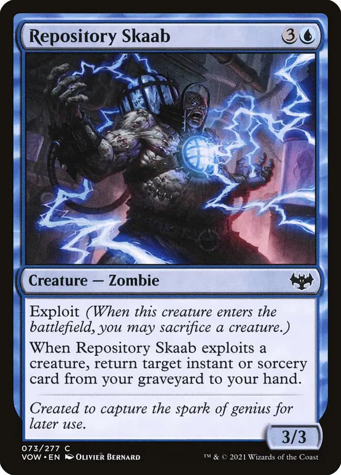Card image of Repository Skaab
