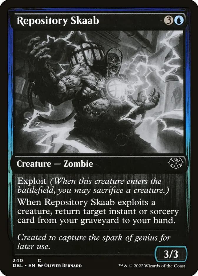 Card image of Repository Skaab