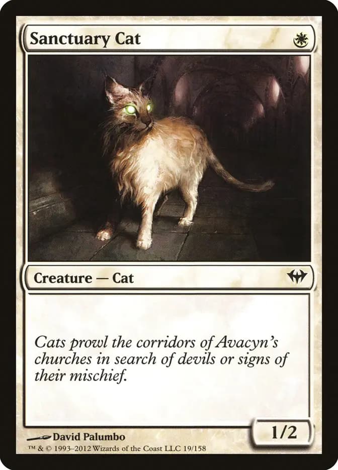 Card image of Sanctuary Cat