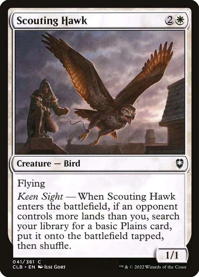 Card image of Scouting Hawk