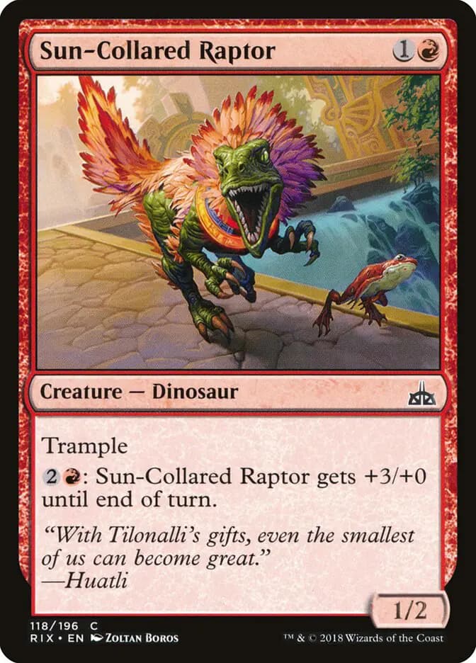 Card image of Sun-Collared Raptor