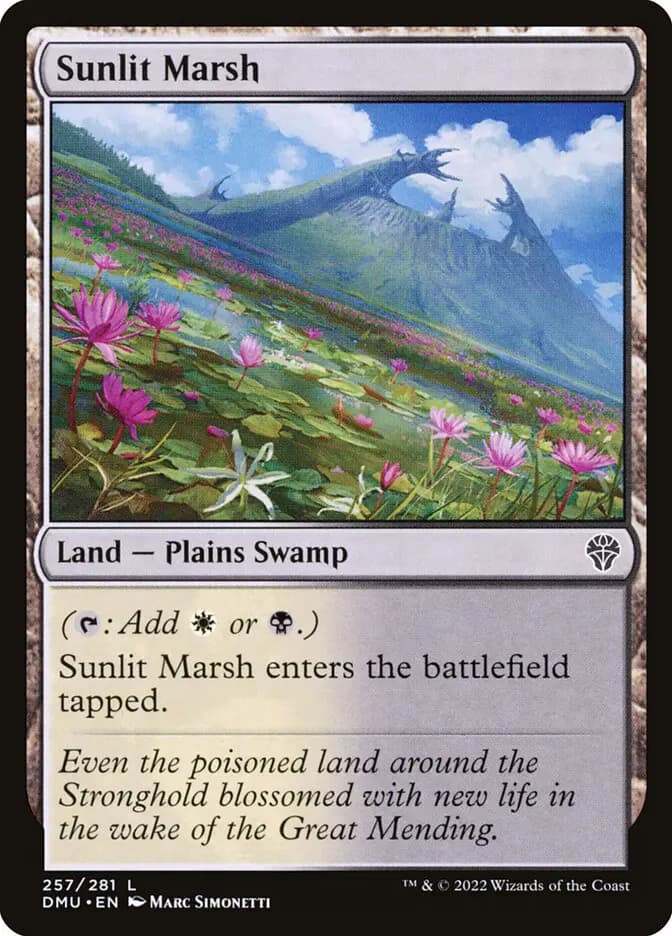Card image of Sunlit Marsh