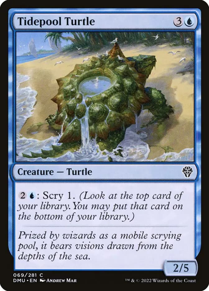 Card image of Tidepool Turtle