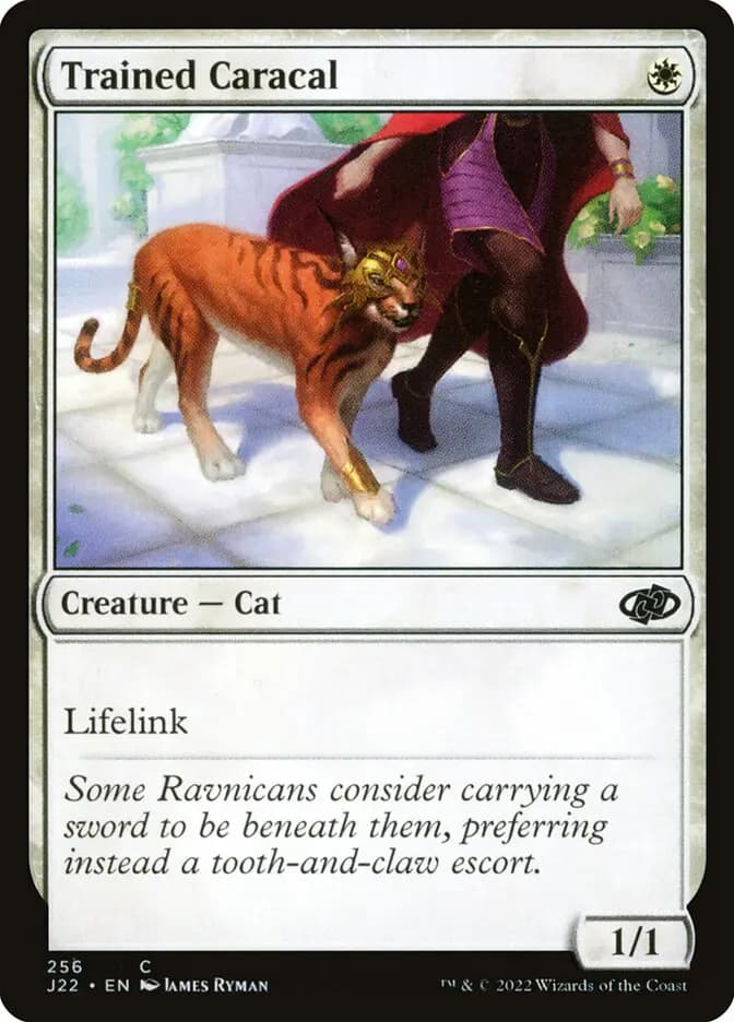 Card image of Trained Caracal