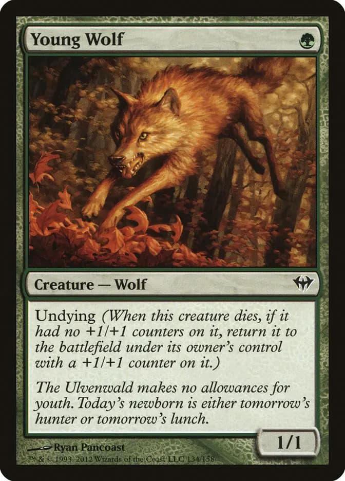 Card image of Young Wolf