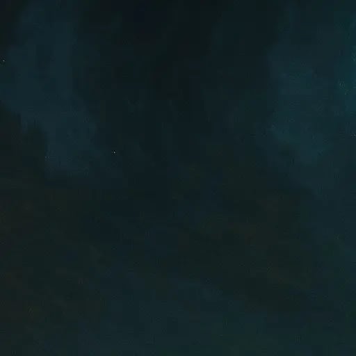 DHolly's profile picture