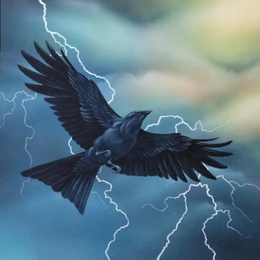 Squilark's profile picture
