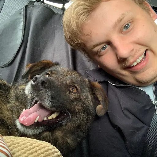 Sheleran's profile picture