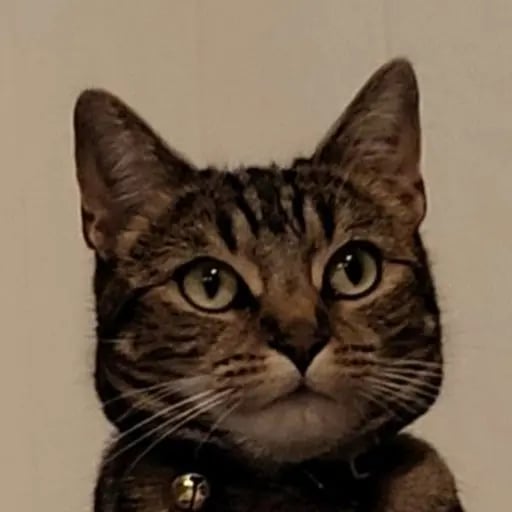 Misanthropic1's profile picture