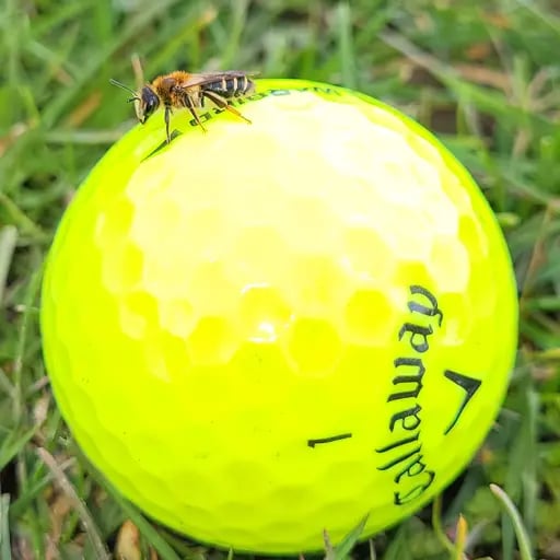 mandrade9530's profile picture