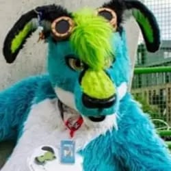 rouix's profile picture