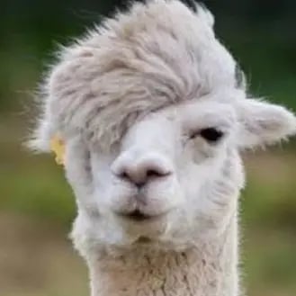 flemingjo's profile picture