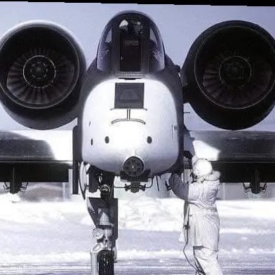 Rancidious's profile picture