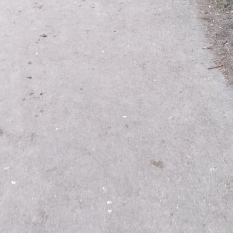 attRium1.22's profile picture