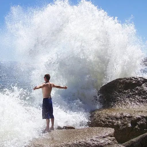 Widdows's profile picture