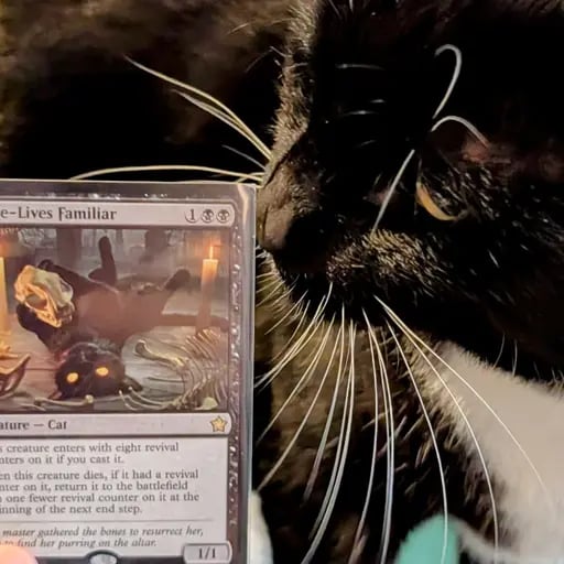 WolfeK's profile picture