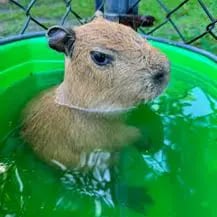 myles's profile picture