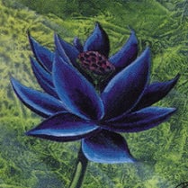 PeteB's profile picture